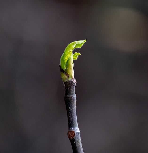Beyond Static Fixes: How Leaders Forge Adaptive Organizational Cultures