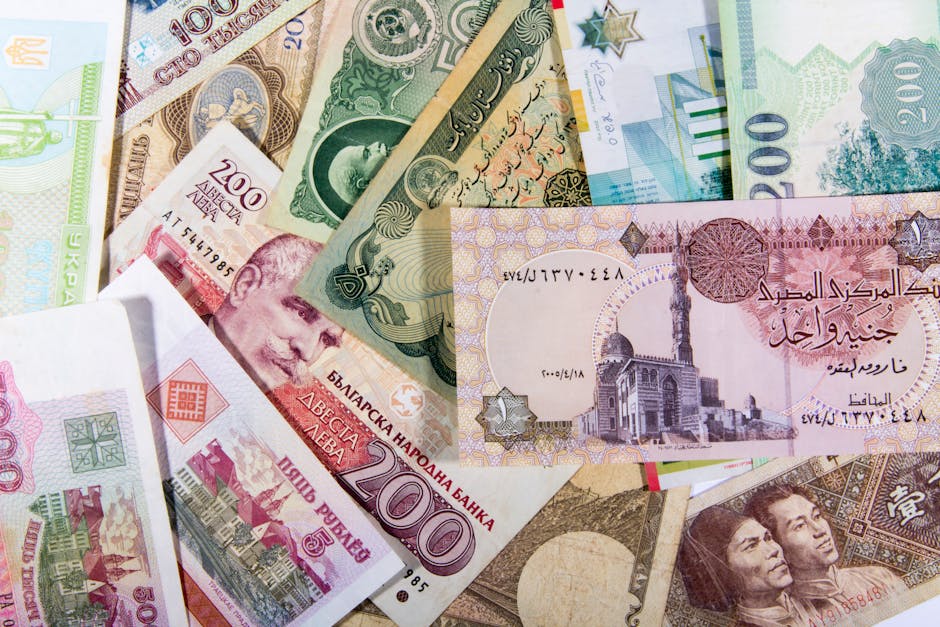 Globalization’s Double-Edged Sword: Unpacking Its Impact on Developing Economies