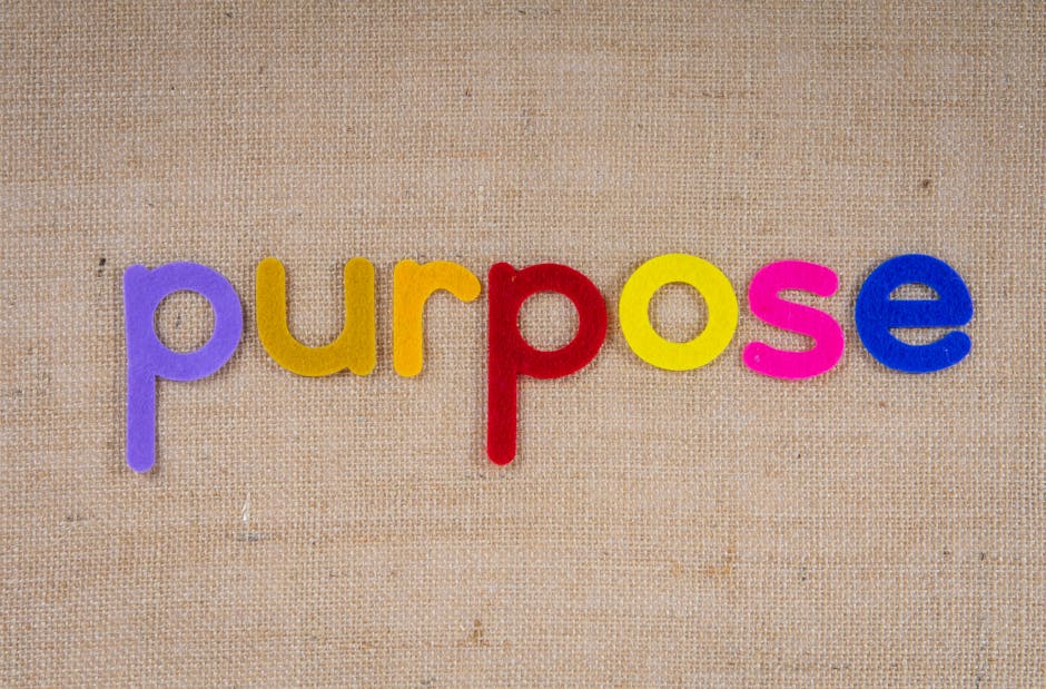 Identifying A Purpose And A Problem