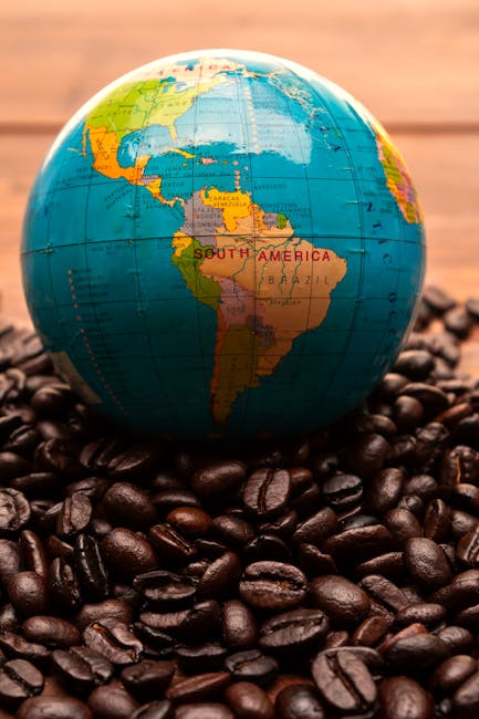 Leading Through the Global Tide: Strategic Development for Emerging Economies