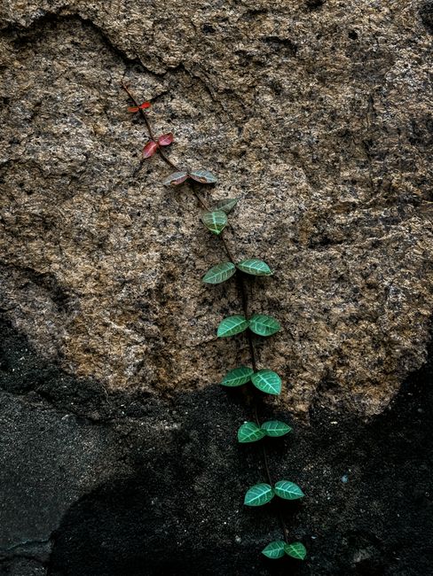 Developing Grit in Leaders