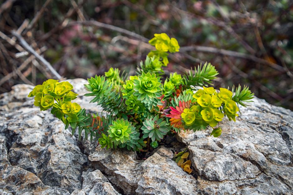 Developing resilience in leaders