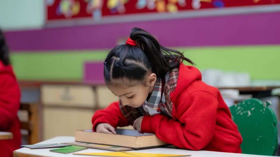 Leadership Mindset for Learning