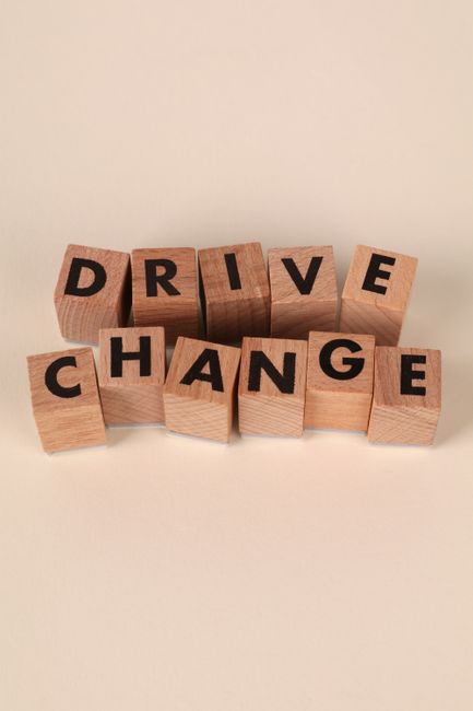 Leading Organizational Change