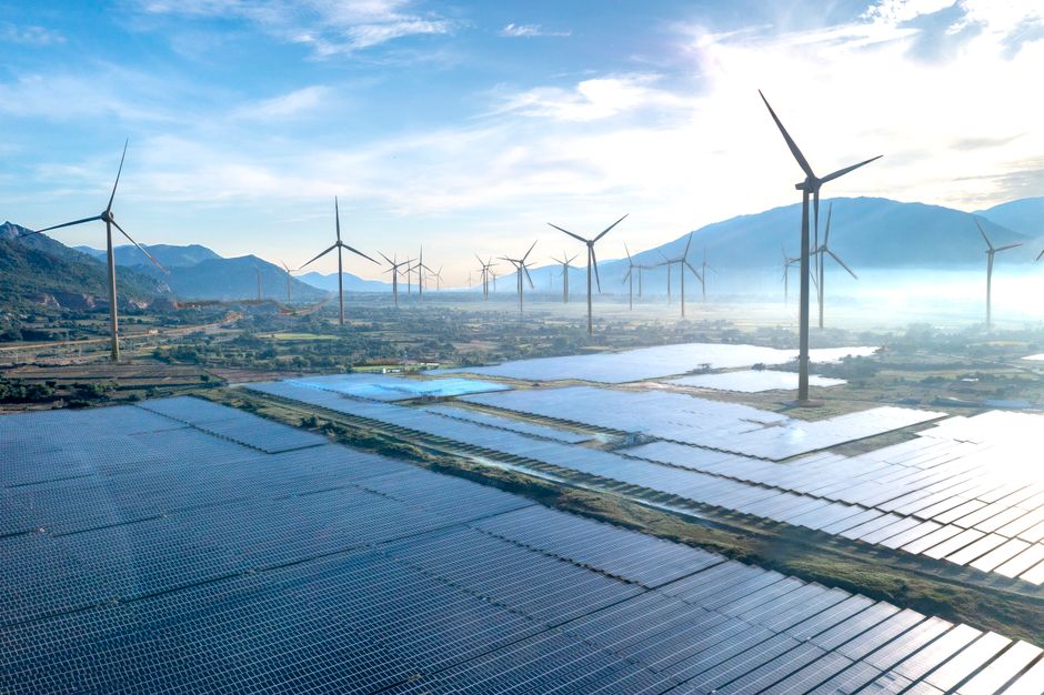 Unlock Sustainability Impact with Executive Coaching